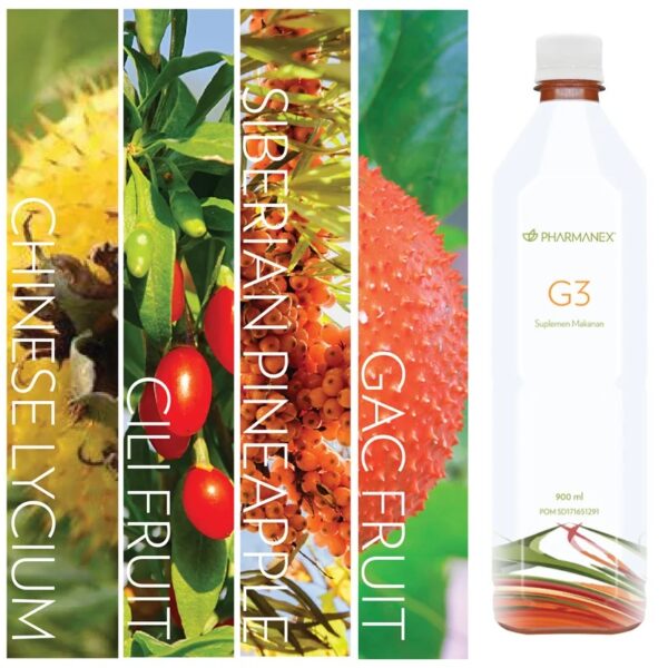 G3 juice 2 bottles 900ml - Gambar 4